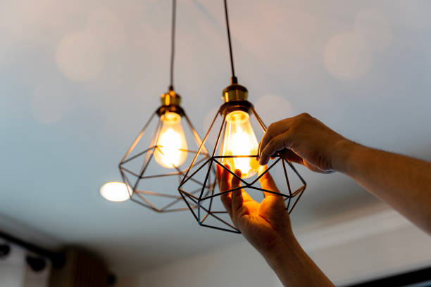 Best Home Electrical Repair  in Waverly, MN