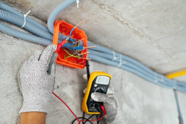 Best Licensed Electrician  in Waverly, MN